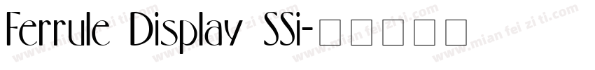 Ferrule Display SSi字体转换